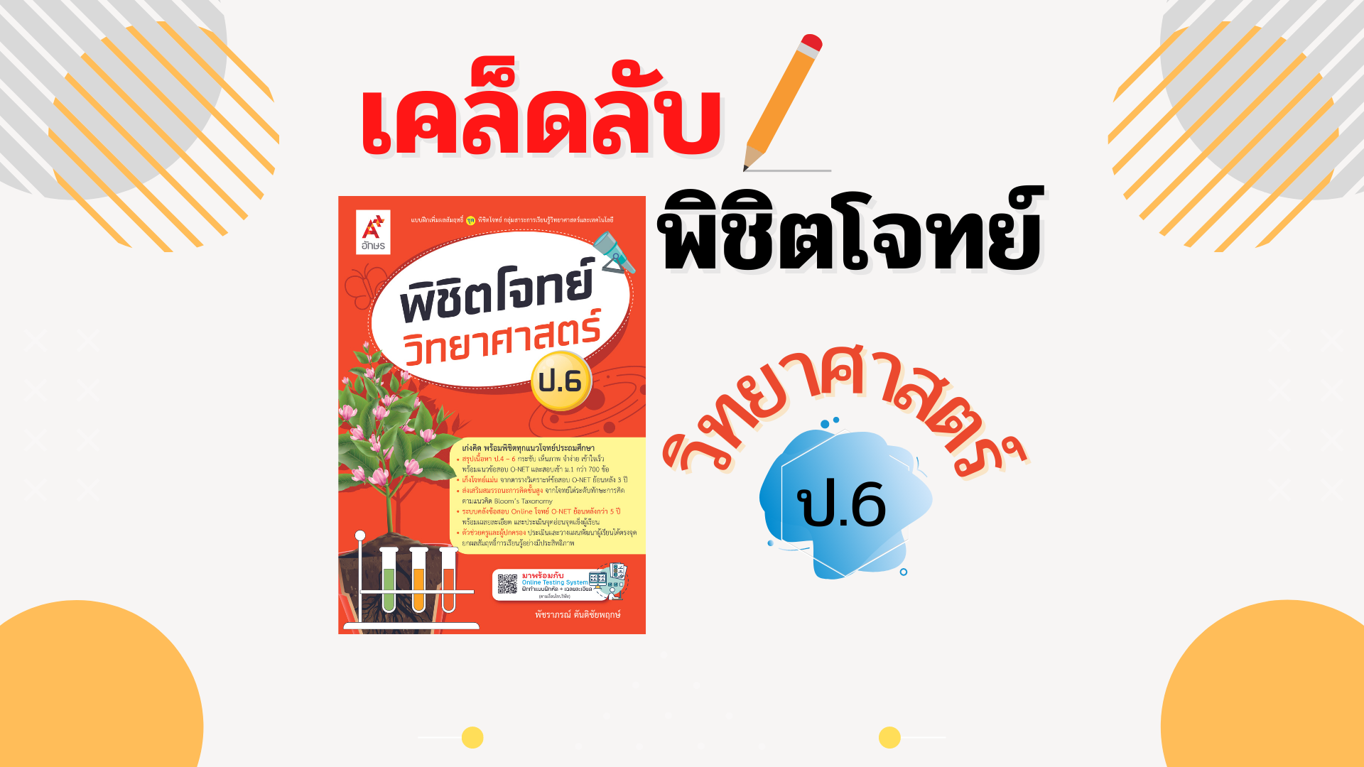cover cover